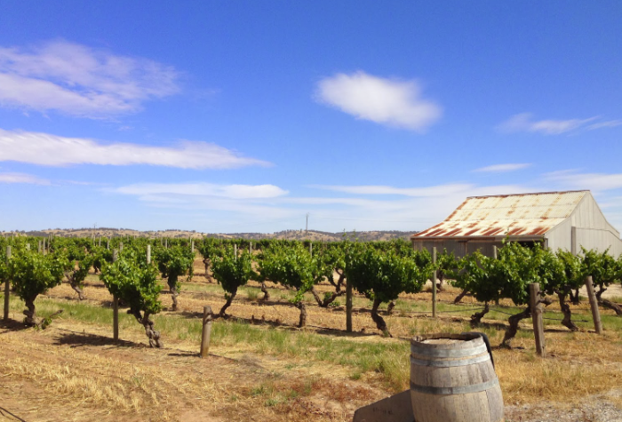 图片[2]-南澳大利亚州 South Australia-酒乐会