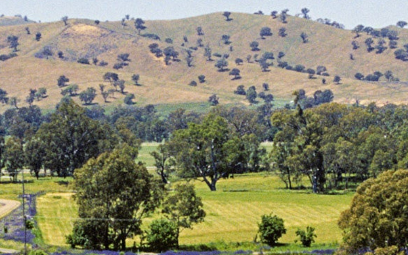 刚达盖 Gundagai-酒乐会