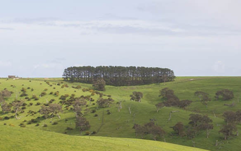 南福雷里卢 Southern Fleurieu-酒乐会