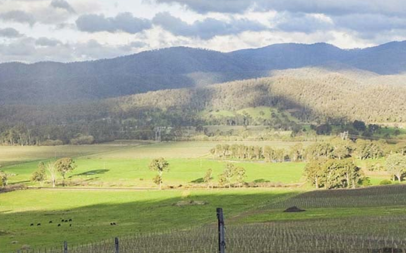 国王谷 (King Valley)-酒乐会