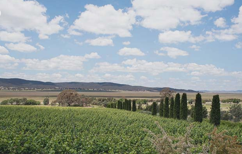 堪培拉地区 (Canberra District)-酒乐会