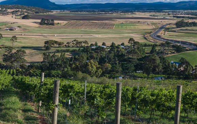 塔斯马尼亚Tasmania-酒乐会