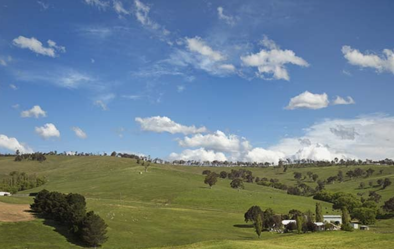 天鹅山 (Swan Hill)-酒乐会