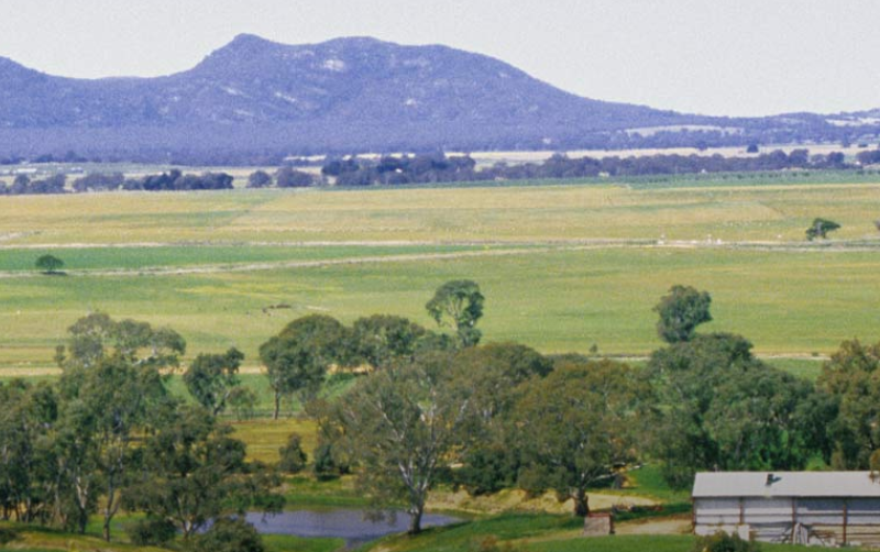 格兰皮恩斯 (Grampians)-酒乐会