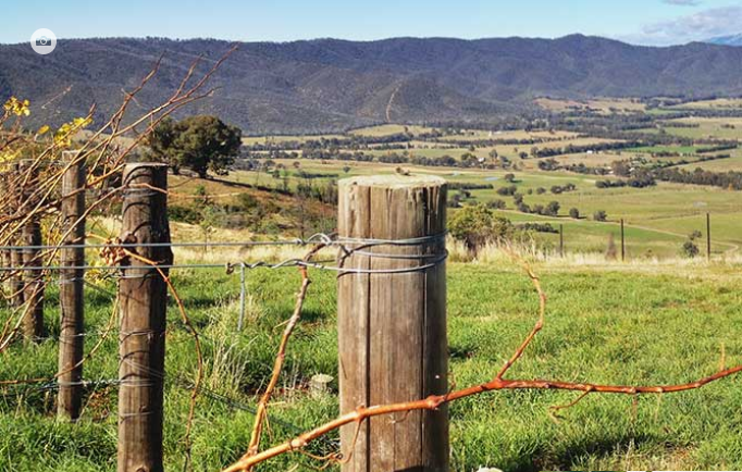 比奇沃思 (Beechworth)-酒乐会