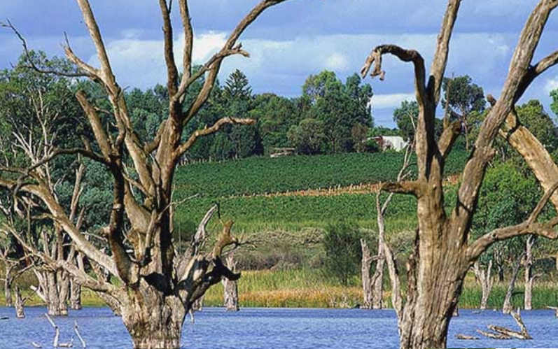 河地 Riverland-酒乐会