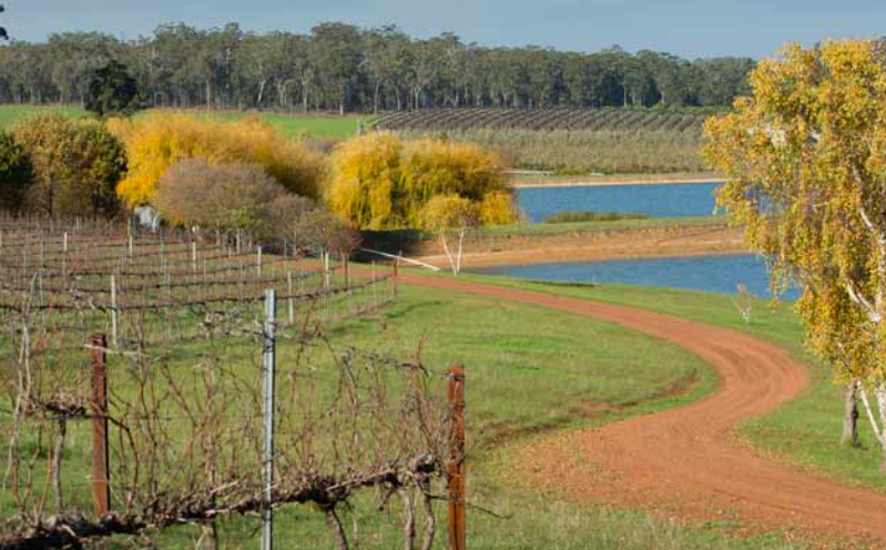 满吉姆Manjimup-酒乐会