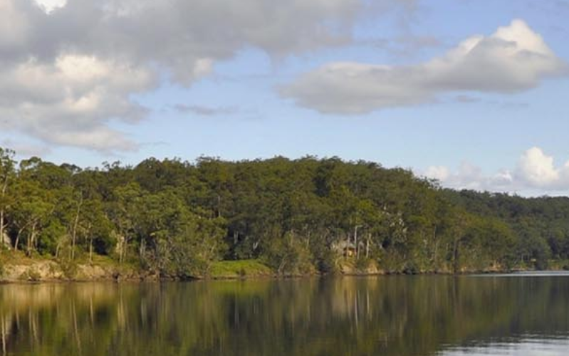 肖尔黑文海岸 Shoalhaven Coast-酒乐会