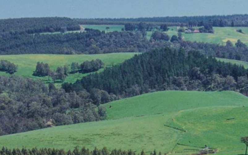 西澳州Western Australia-酒乐会