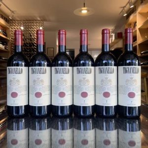 意大利-天娜-酒乐会