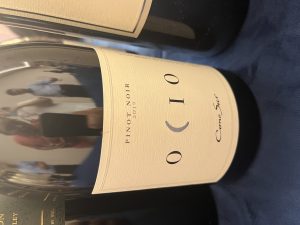 智利：柯诺苏-酒乐会