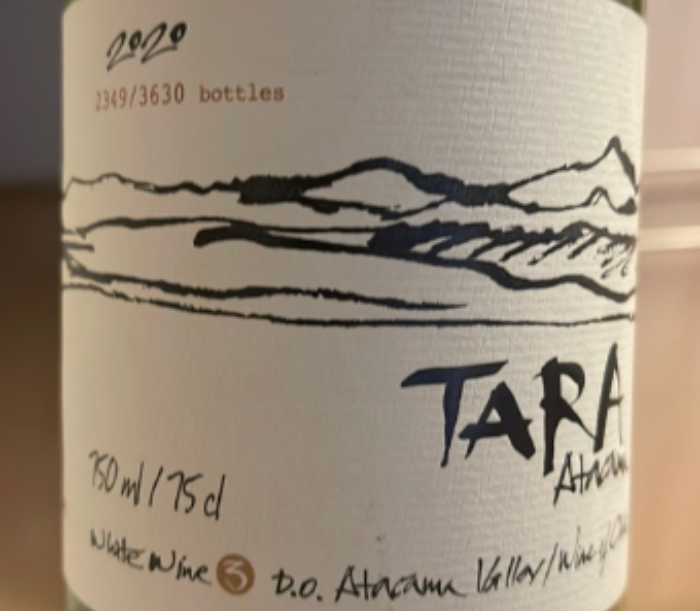 塔拉长相思白葡萄酒Tara white wine 3  2020-酒乐会