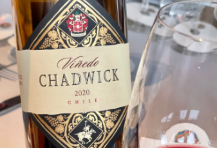 查德威克红葡萄酒Vinedo Chadwick 2020-酒乐会