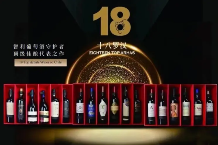 专题  十八罗汉18Top Arhats Wines of Chile-酒乐会-第2页