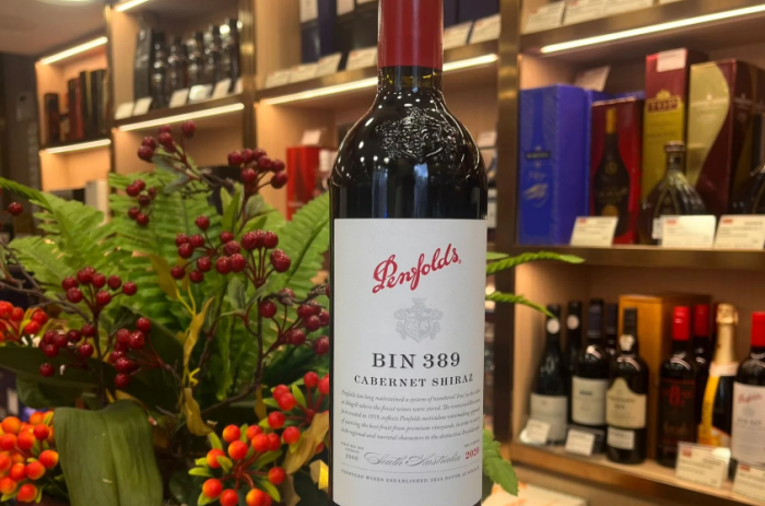 奔富BIN 389赤霞珠西拉红葡萄酒Penfolds Bin 389 Cabernet-Shiraz 2021-酒乐会