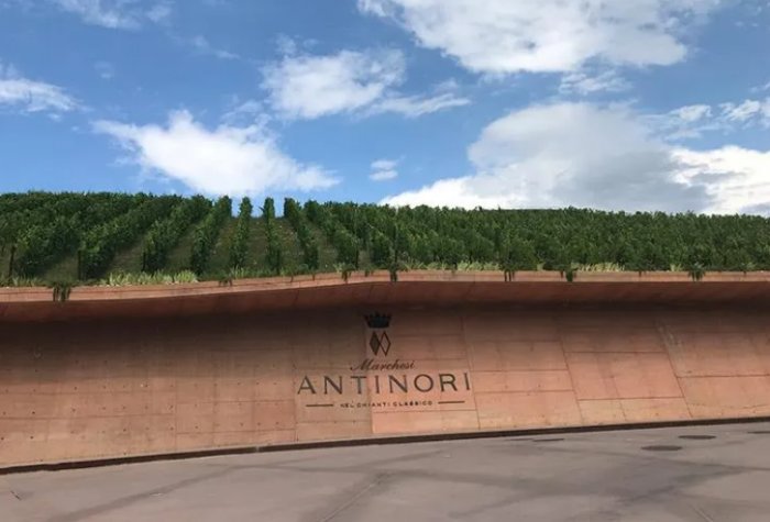 安东尼世家Marchesi Antinori-酒乐会