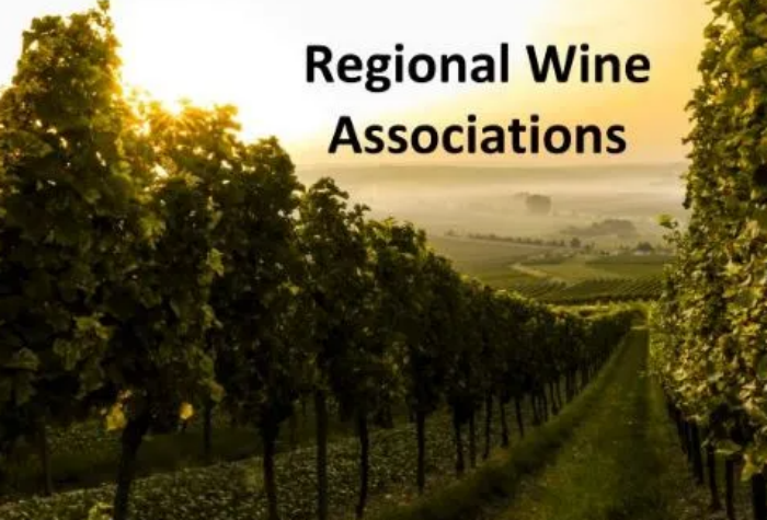 产区精品-酒乐会