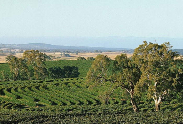 南澳大利亚州 South Australia-酒乐会