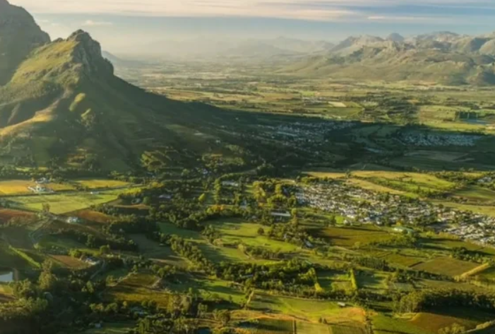 斯泰伦博斯Stellenbosch-酒乐会