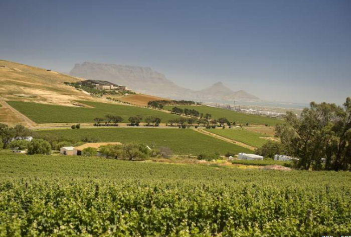 德班维尔Durbanville-酒乐会