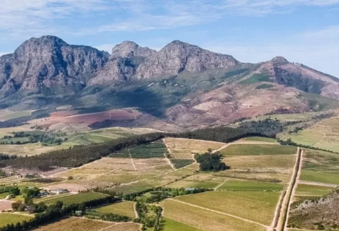 西蒙斯堡-帕尔Simonsberg-Paarl-酒乐会