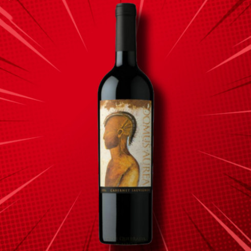 奇布拉达酒庄金色圣殿赤霞珠红葡萄酒 Vina Quebrada de Macul Domus Aurea Cabernet Sauvignon-酒乐会