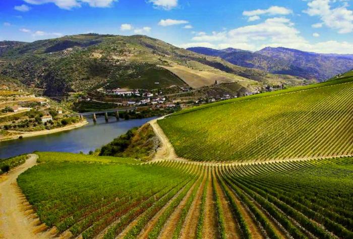 杜罗河岸Ribera del Duero：高原河谷里的酒魂传奇-酒乐会