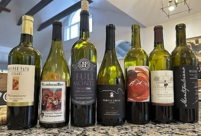 静止葡萄酒Still Wine：流淌千年的静香-酒乐会